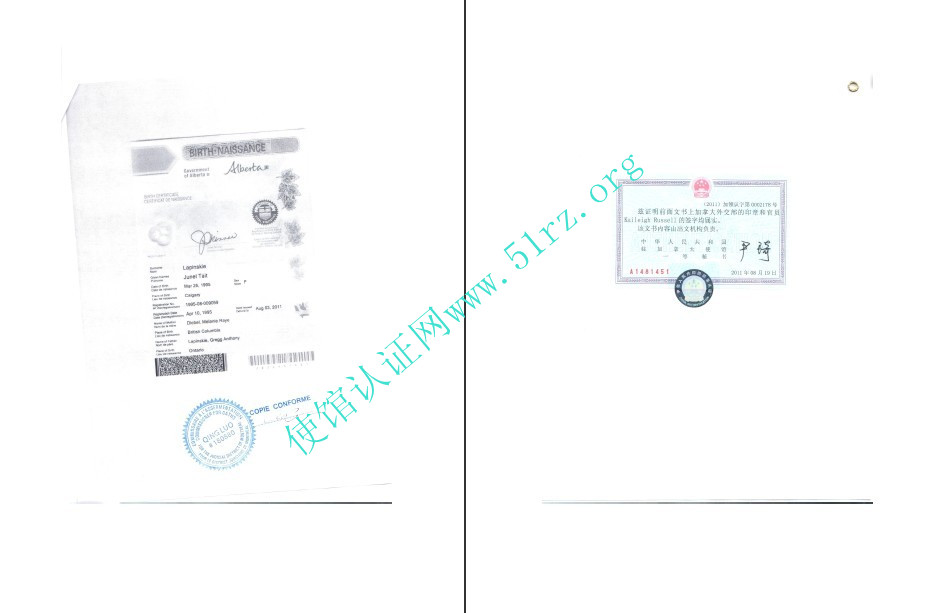 加拿大出生证认证样本