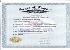 美国佛罗里达结婚证海牙认证