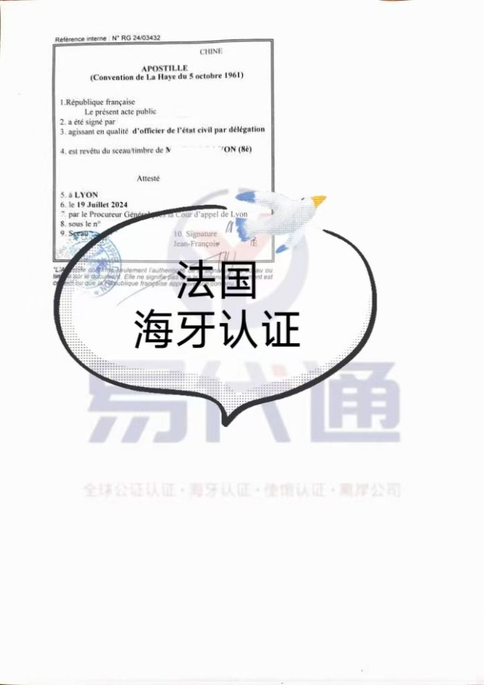 法国海牙认证1.jpg