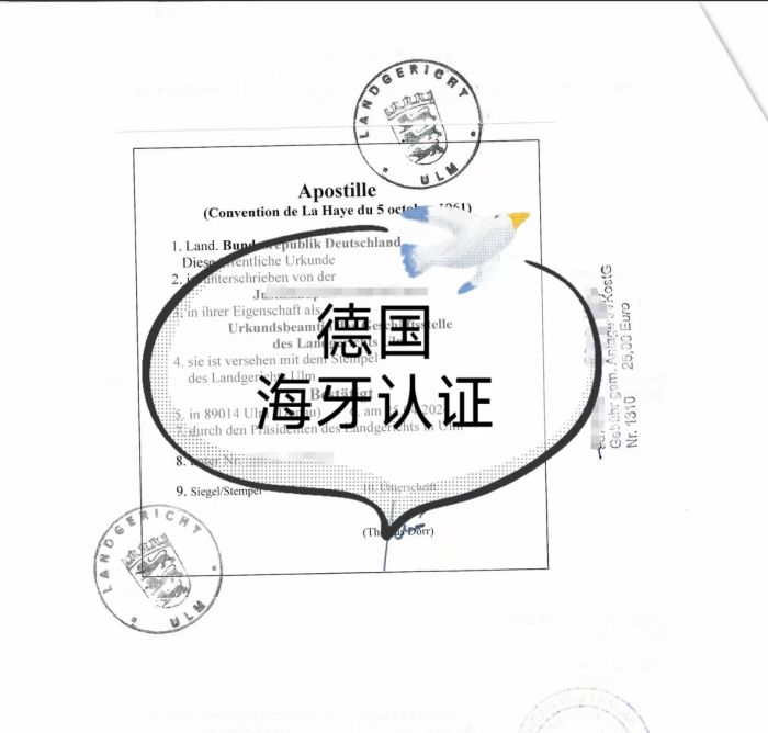 德国海牙认证1.jpg