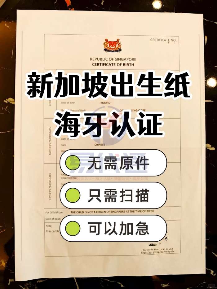新加坡出生纸海牙认证apostille超全攻略_1_易代通公证认证官方号_来自小红书网页版(1).jpg 新加坡出生纸海牙认证apostille超全攻略_1_易代通公证认证官方号_来自小红书网页版(1).jpg